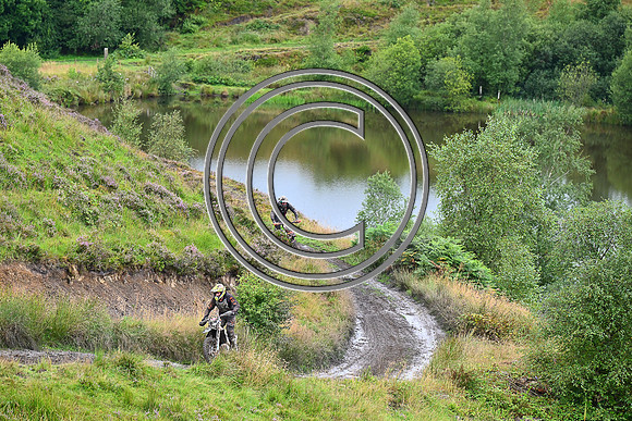 DSC_4595