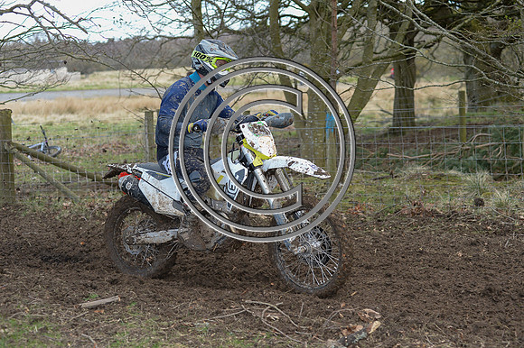 DSC_3111