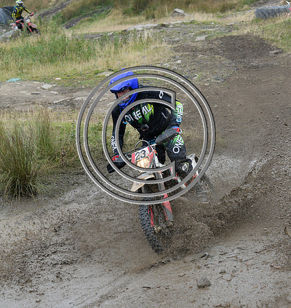 DSC_8286