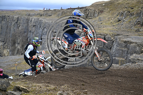 DSC_4201