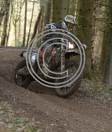DSC_3174