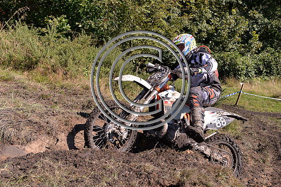 DSC_8104-2