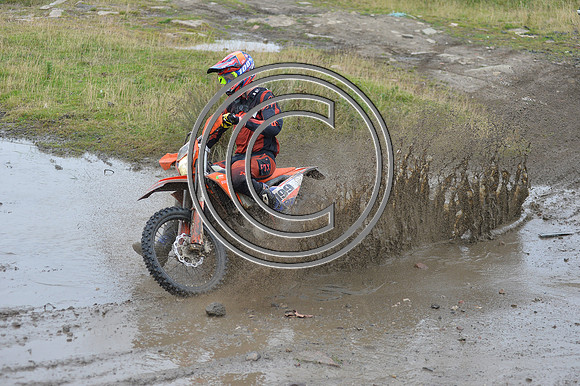 DSC_8131