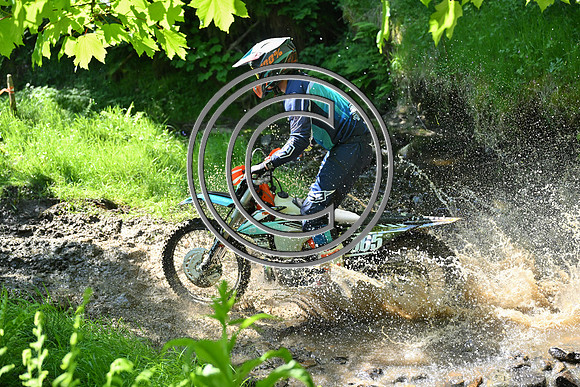 DSC_3364