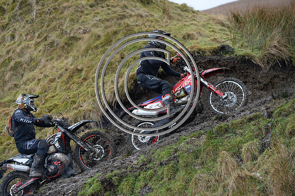 DSC_9855