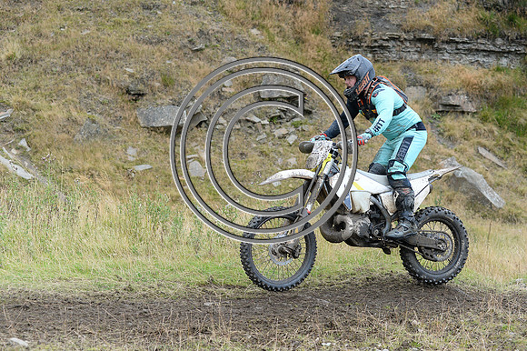 DSC_8310