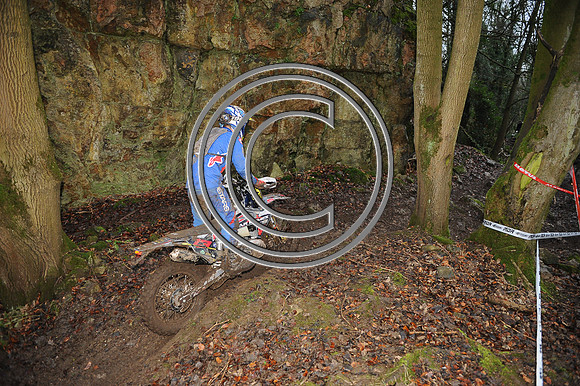 DSC_9584