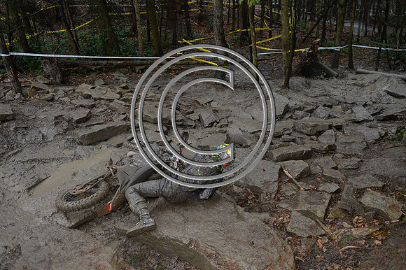 DSC_0586