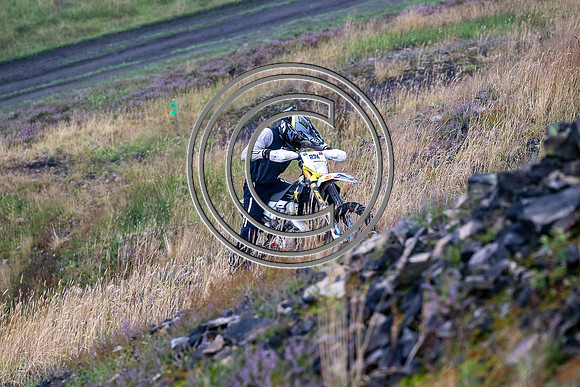 DSC_3848