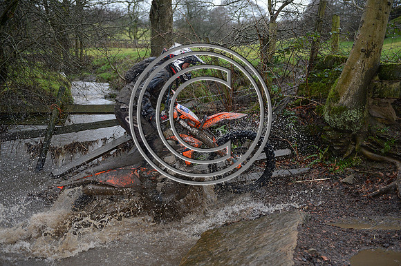 DSC_0515