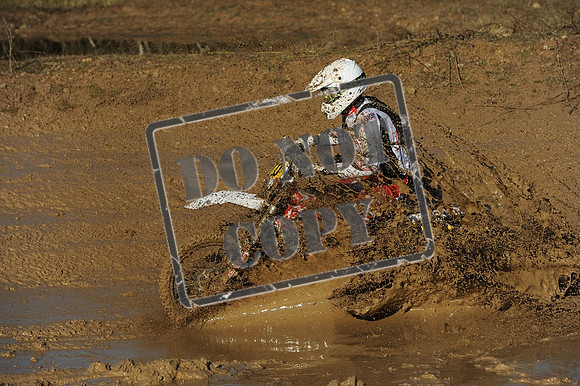 DSC_1031