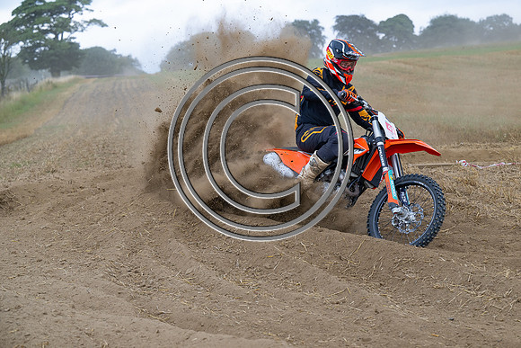 DSC_0781