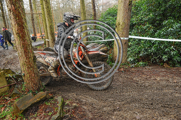 DSC_4219