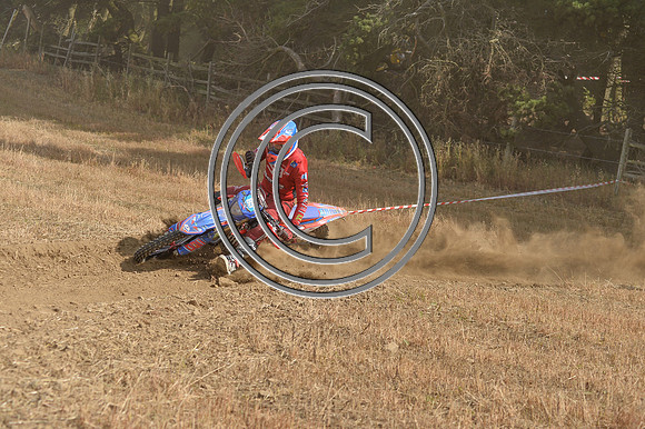 DSC_7088