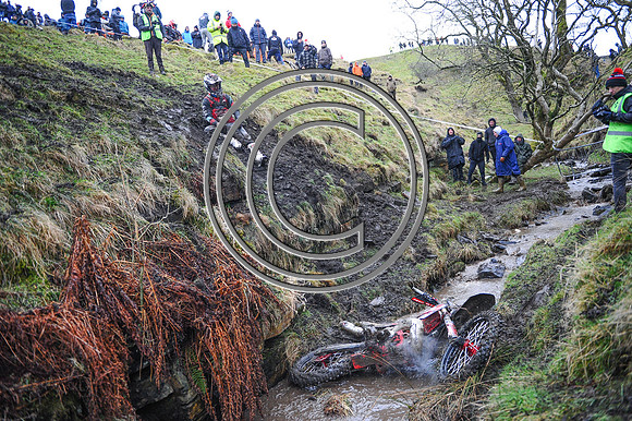 DSC_2603
