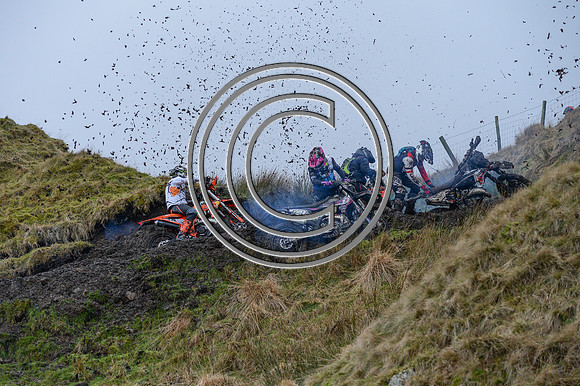 DSC_9995