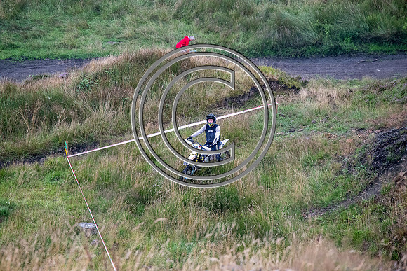 DSC_3847