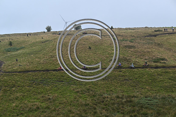 DSC_4359