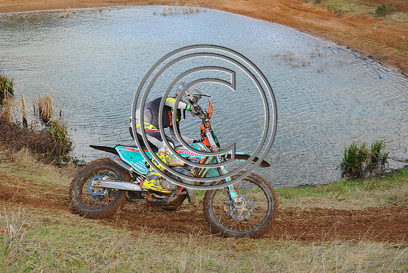DSC_9918