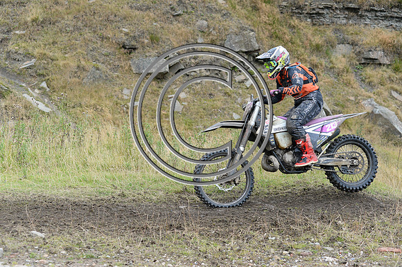 DSC_8311
