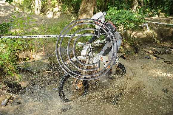 DSC_6544