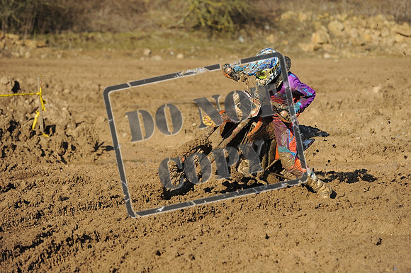 DSC_0925