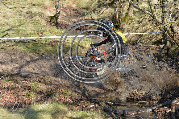 DSC_2806