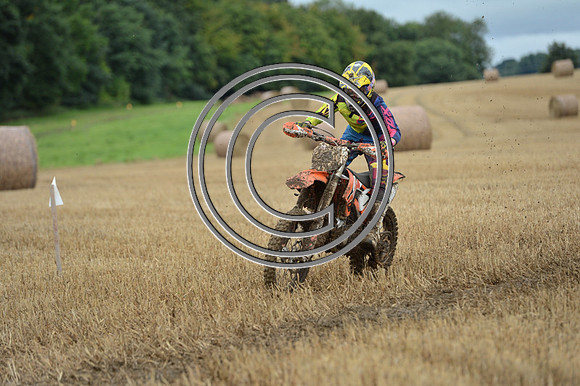 DSC_4452
