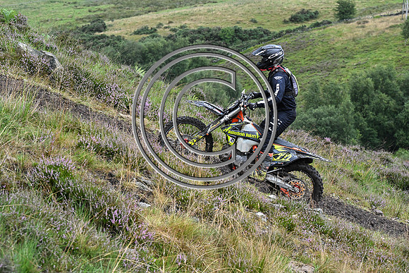 DSC_4316