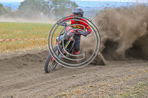 DSC_0427