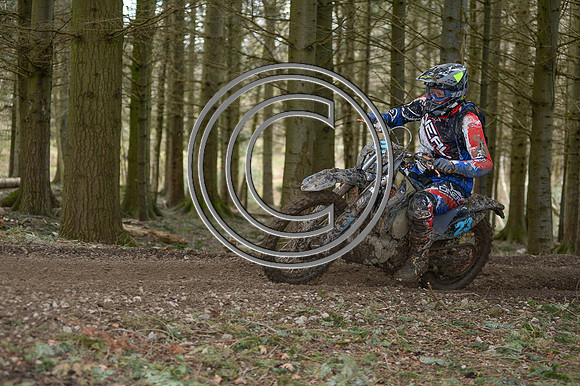 DSC_3197