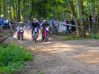 DSC_2013