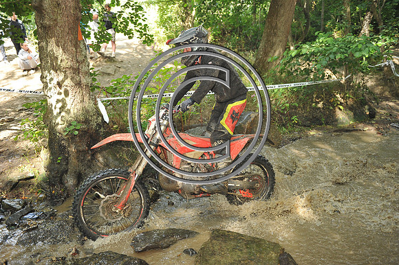 DSC_6491