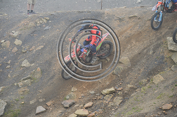 DSC_7668