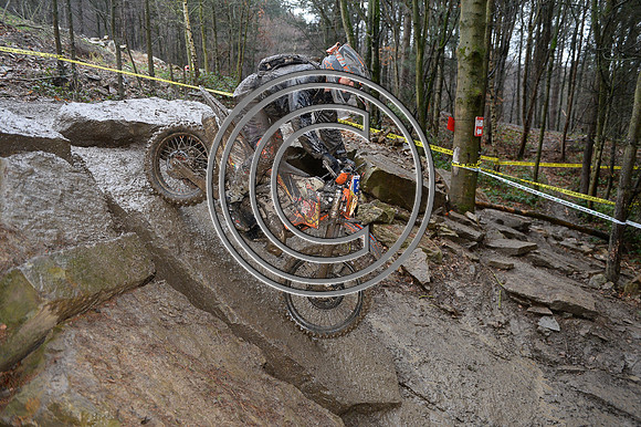 DSC_0558