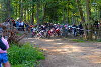 DSC_2012